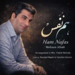 محسن افضلی – هم نفس