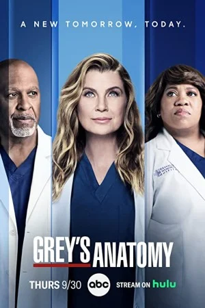 پوستر سریال دانلود سریال آناتومی گری Grey’s Anatomy فصل 1 تا 22 با زیرنویس (s Anatomy)