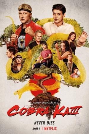 پوستر سریال دانلود سریال Cobra Kai (Cobra Kai)