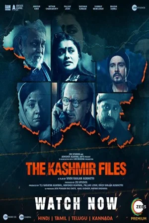 پوستر فیلم فیلم هندی The Kashmir Files پرونده های کشمیر 2022 (The Kashmir Files)