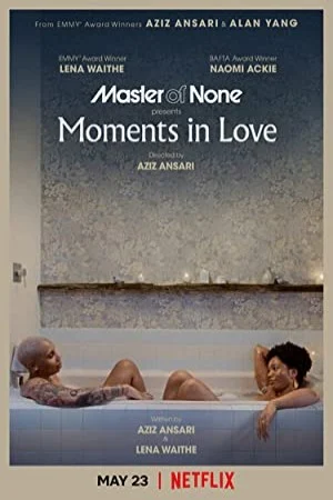 پوستر سریال سریال Master of None استاد هیچ (Master of None)