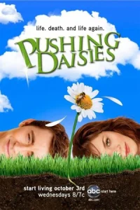 سریال Pushing Daisies دیزی های جسور